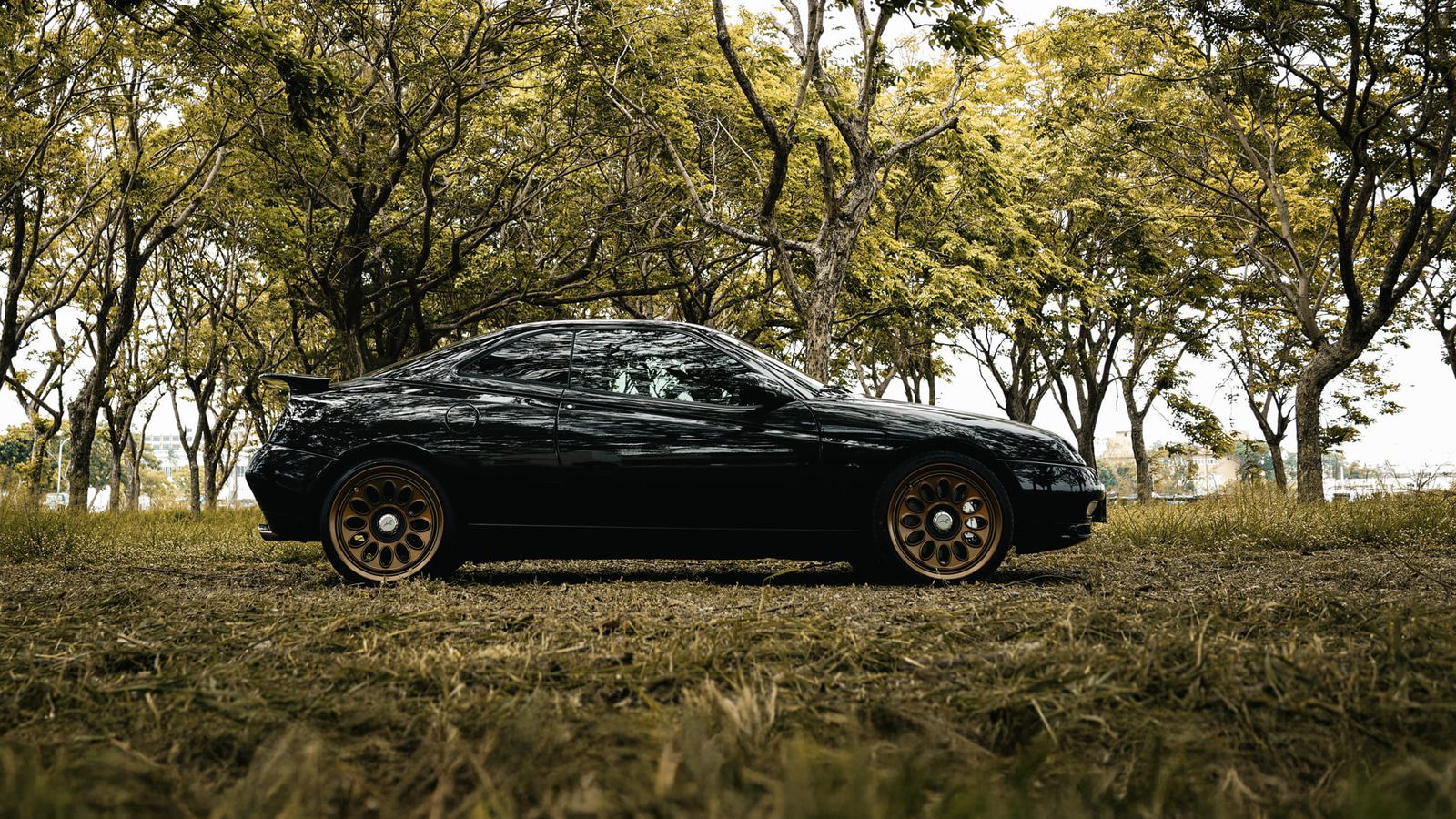 Alfa Romeo 916 GTV Black on Jaeges RA wheels